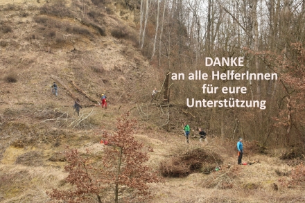 00_plesching-einsatz_danke_4-e154b264aca8ec70d79ad8eb83a169ce