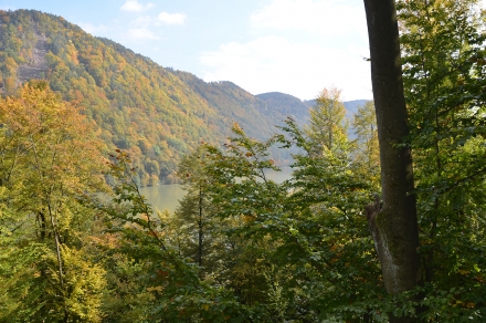 1ef05-2013.10.15-jankowald-b-c.leitner-1-8705f55eb56a69833b07cdd4a709f9ac