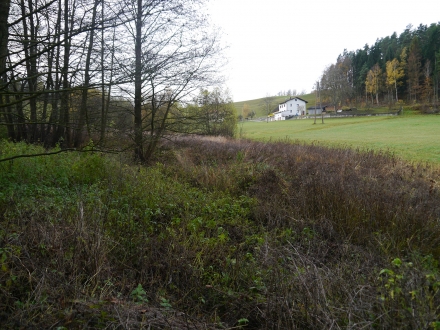 1fr08-2013.11.04-erstbegehung-der-wiese-a-d.priller-10-37829fba468fabc916db856ae792ec49