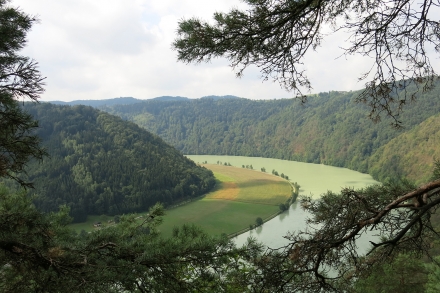 1ro07-2015.09.04-blick-auf-die-donau-a-c.leitner-dabb7e70d6bf91c12fd125abfb8d700a