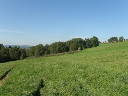 1sd07-2012.10.03-blick-auf-gehoelzbestand-und-schilfroehricht-a-c.leitner-4bb4db5b288061907b6a2ba66d64e711