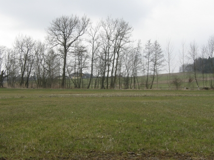 1sd12-2013.04.09-uebersicht-a-c.leitner-2-8be019060bfb7ddf8319006f7f9f85f7