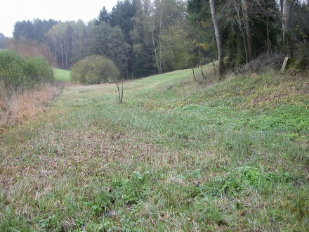 2fr01-2014.10.24-feuchtwiese-a-m.schwarz-2-24533ed59026aedb1282667950745376
