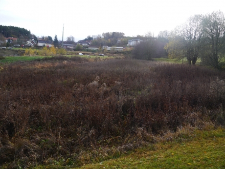 2fr08-2013.11.04-erstbegehung-der-wiese-a-d.priller-13-fa88fe2204bdec37bd8d64ea63c84a74