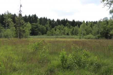 2gr08-2015.07.15-ueberblick-a-d.priller-3-3b3903e9d802ffe4d791cbe9a7a19dbe