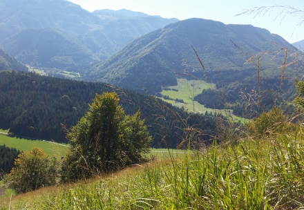 2ki04-2015.10.02-ausblick-von-der-pfefferleiten-a-d.priller-0a0797e887a2f0248eb750b4d24d890e