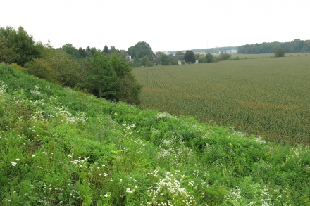 2ll02-2014.09.09-aufwuchs-boeschung-a-c.leitner-2-c6454a798d8a22508378a84bd714e462