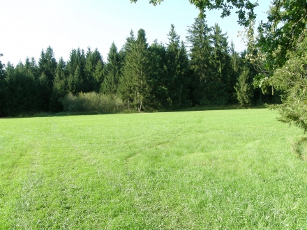 2sd02-2012.09.11-waldwiese-a-c.leitner-d7a27309893050996448a51afd57260e