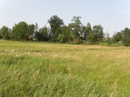 2sd12-2013.07.15-feuchtwiesen-a-c.leitner-1-e4e0ee886be835509a80e98a1379016a