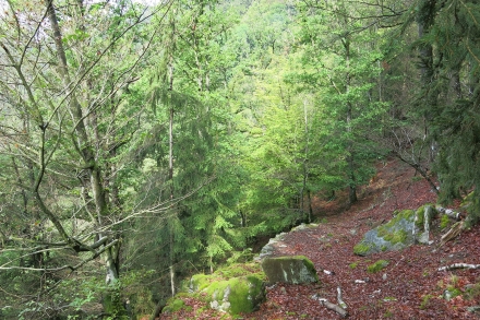4ro07-2015.09.04-hangwald-a-c.leitner-1f4e86e1edb3803d6ff4dce9d8d88ed4
