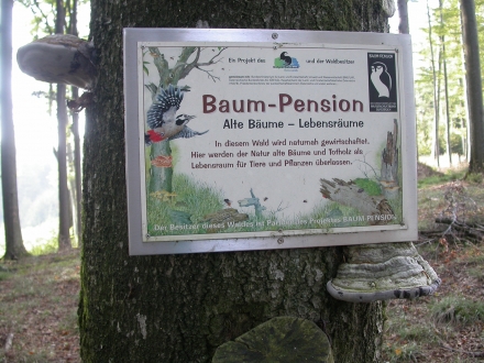 4vb02-2010.09.23-schild-baum-pension-a-m.schwarz-3369e6387b6e44b9eb6b6b8f31389fc5