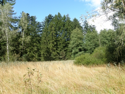 5sd08-2013.09.17-brache-a-c.leitner-2-f4de3ca80ed7625e090b521736df7ceb