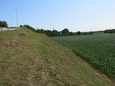 6ll02-2014.07.07-boeschung-nach-pflege-a-c.leitner-2-b2eb15120b663e58c178f1b2b522766e