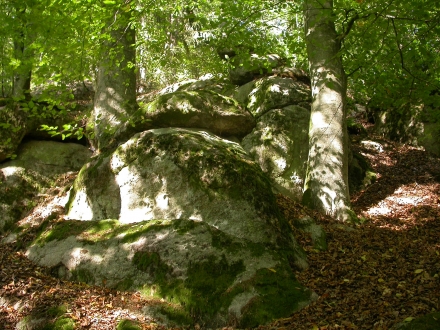 6ro06-2013.09.24-felsen-im-fuchswald-a-m.schwarz-9642c5f4f2cf38d667dbcca5e3fddf3c