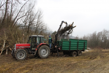 6uu04-2015.02.18-rodungsarbeiten-2.2015-a-d.priller-7-d598d418c08e18310f043d86cefa133a