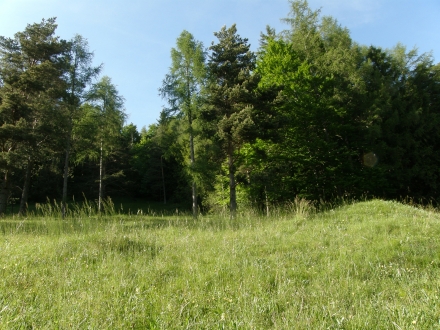 7ki06-2014.05.21-kalkmagerrasen-a-c.leitner-cd268c63261ee76beb09963e602eb5ac
