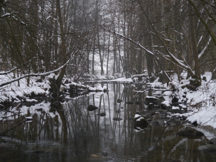 gr01-2013.02.26-leithenbach-im-winter-a-d.priller-1-d6c1dfe71d1f011edef41efdaeb1b2b7
