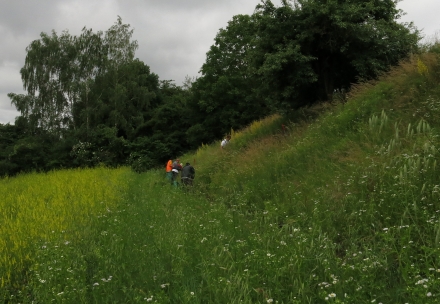 ll03-2016.06.14-zwick-zwack-beim-rupfen-a-c.leitner-2-1fdf3176b52ea63385c38ab9958dc044