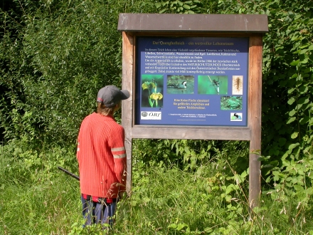 quenghofteich-schautafel-2010.08.09-2-d6c744536dedee2e1134d314a85390f3