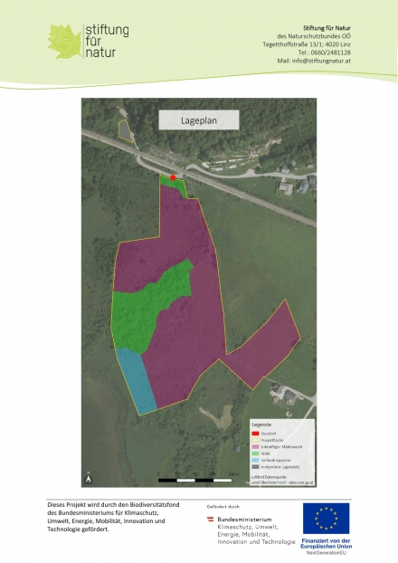 rekultivierung-von-feuchtlebensraeumen-2-fc165d74cd7b61159e643e526d0579cf