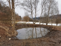 ro16s_20250221_lb_oberer-teich-2-b75ecfb28095bb3c08899a6d0c29c914