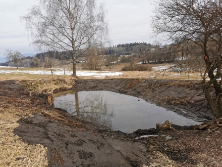 ro16s_20250221_lb_unterer-teich-4e2eab0cc50e44ad2397eeecd862e143