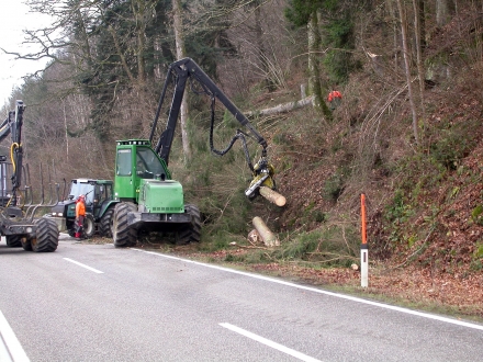 sd04-2015.12.16-fichtenschlaegerungen-a-m.schwarz-6-cb216d0b747ff7ce0bcf40fac73894d8