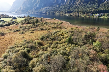 steegwiesen_ueberblick_drohnenaufnahme_200-d06fd7d4f75ef20a6e9911bd0678af4a